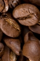 2tn_IMG_1298_.jpg