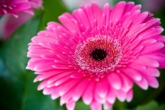 2tn_IMG_2557_.jpg