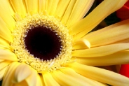 2tn_IMG_6134.jpg