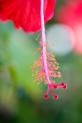 2tn_IMG_7426_.jpg