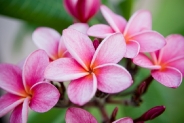 2tn_IMG_7902__1.jpg