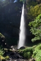 2tn_IMG_9476_.jpg