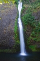 2tn_IMG_9482_.jpg