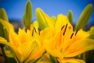 2tn_IMG_9506_.jpg