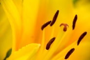 2tn_IMG_9508_.jpg
