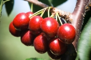 2tn_IMG_9552_.jpg