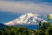 2tn_IMG_9555_.jpg